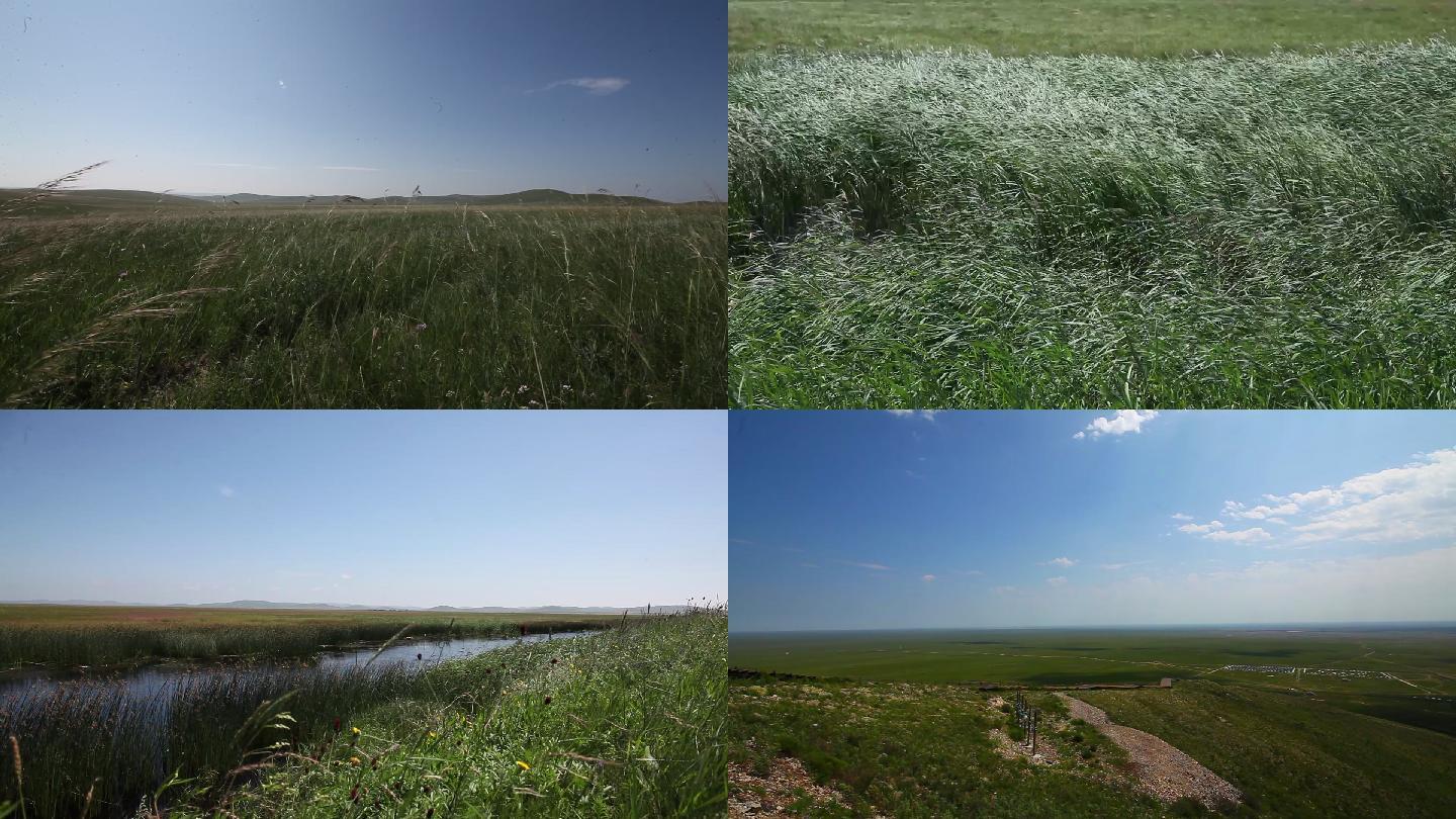 内蒙古草原草地湿地空镜头