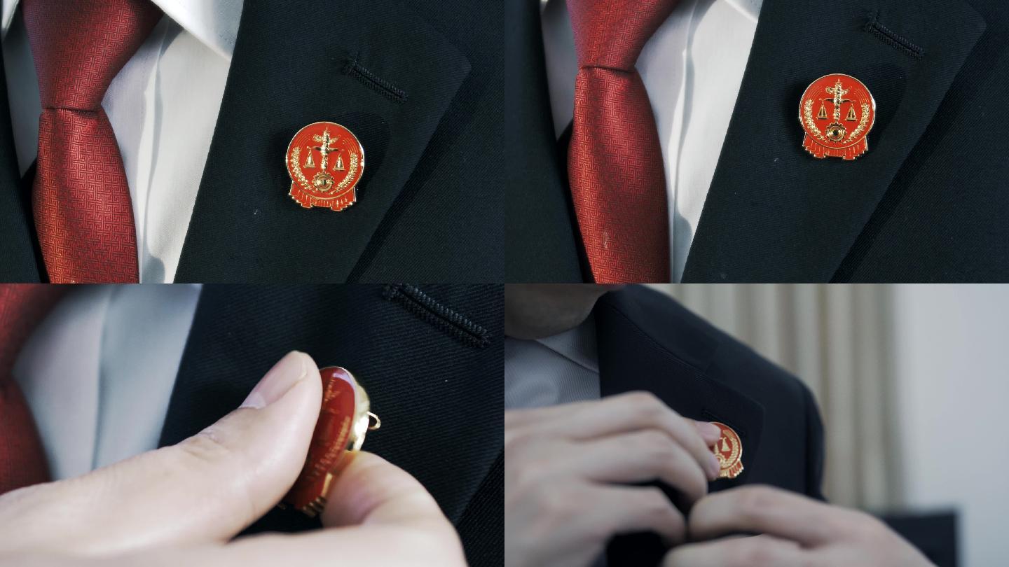 法徽,法官佩戴法徽