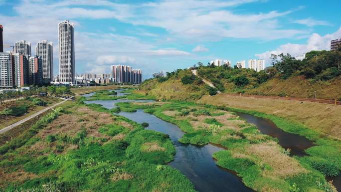 4k生态城市绿化河道航拍