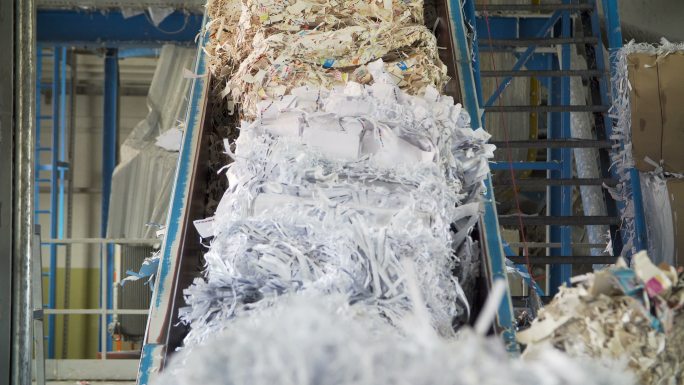废纸回收厂传送带自动化废物利用