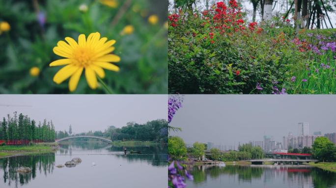 成都锦城湖公园夏天