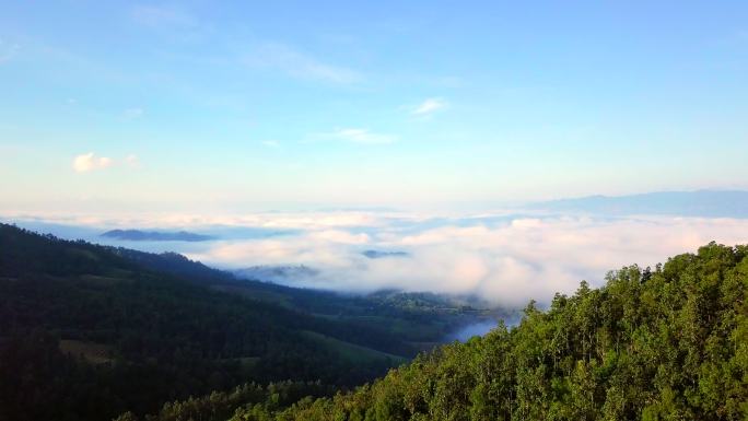 山谷上空的海雾，鸟瞰美丽的早晨