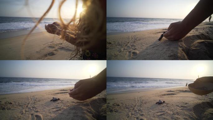 女子步行将海龟放生到海边