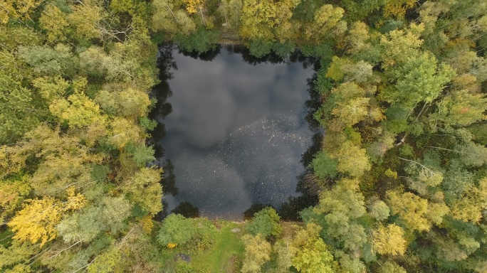 飞过美丽的方形池塘