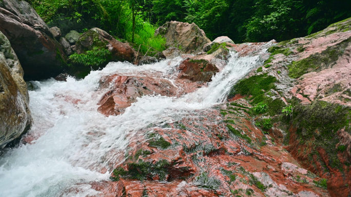 四川荥经县凤凰沟山涧溪流自然清澈山泉