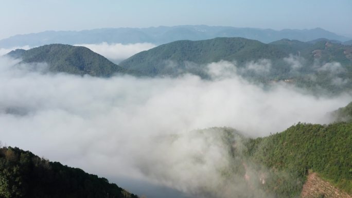 【4k】云南茶山云海航拍