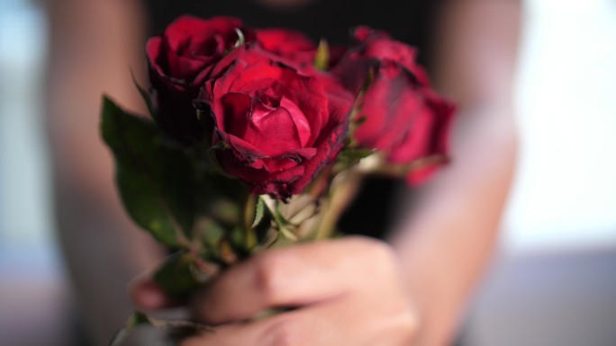 情人节红玫瑰赠送求爱