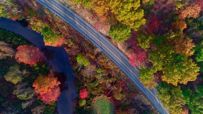 山区森林中的道路顶视图