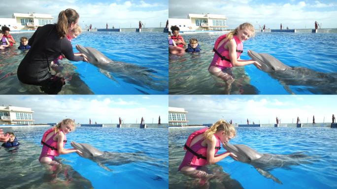 孩子们和驯兽师在水中与海豚亲吻