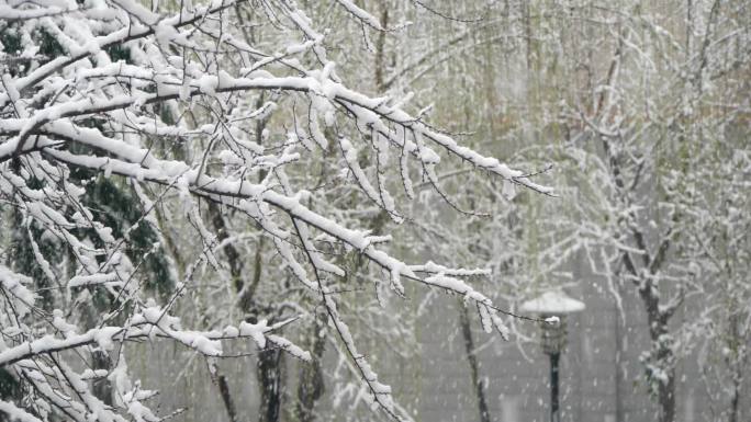 鹅毛大雪