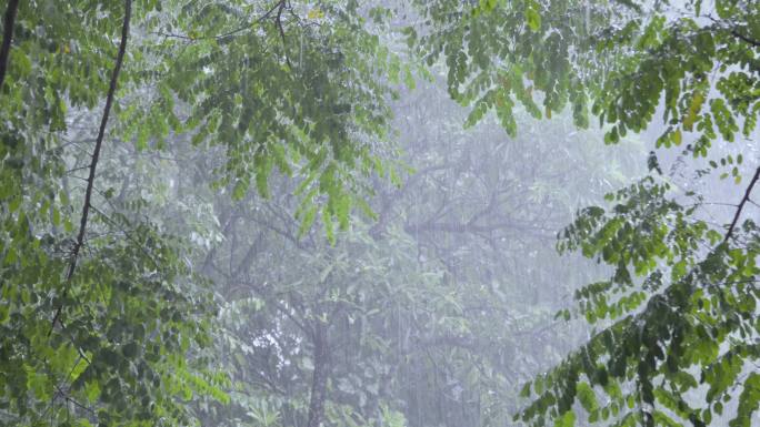 强降雨风暴自然条件新鲜