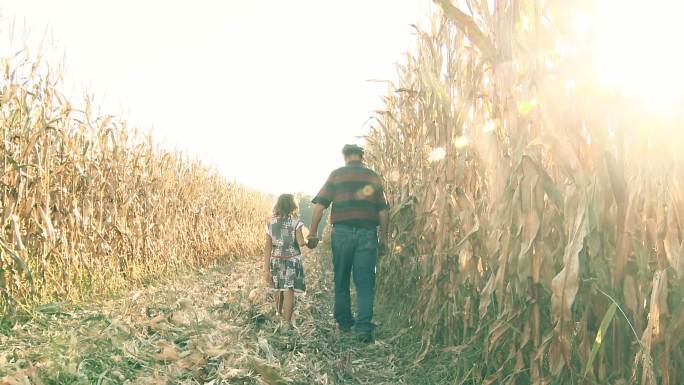 爷爷和孙女在玉米地里走