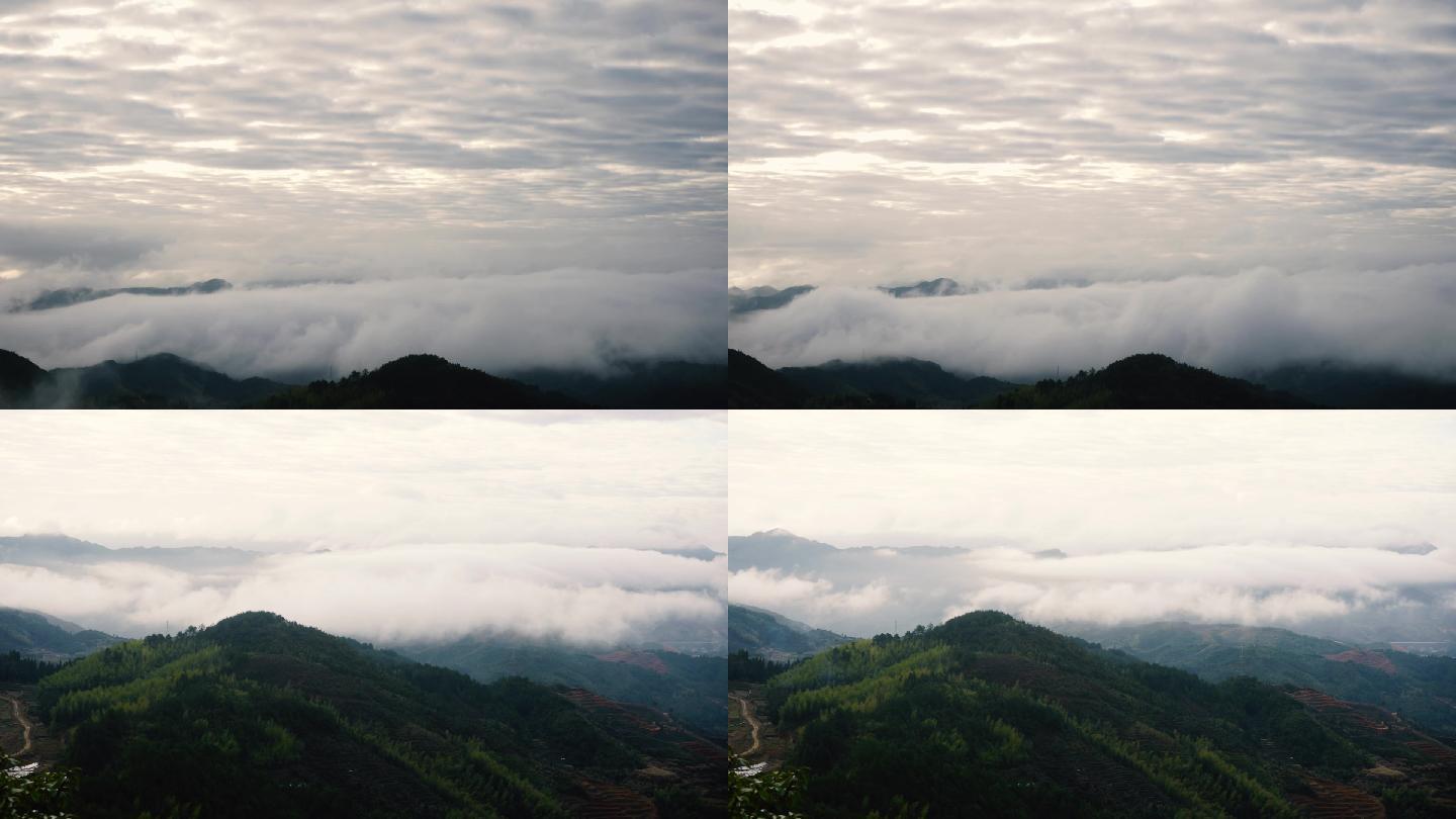 清晨森林云海翻滚山间云雾缭绕