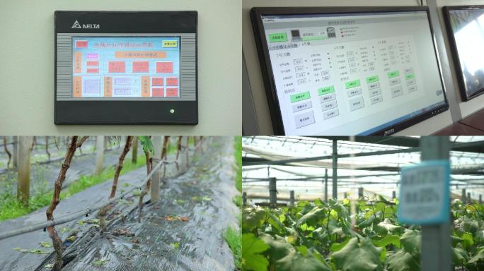 农业大棚科技管理葡萄大棚自动化管控