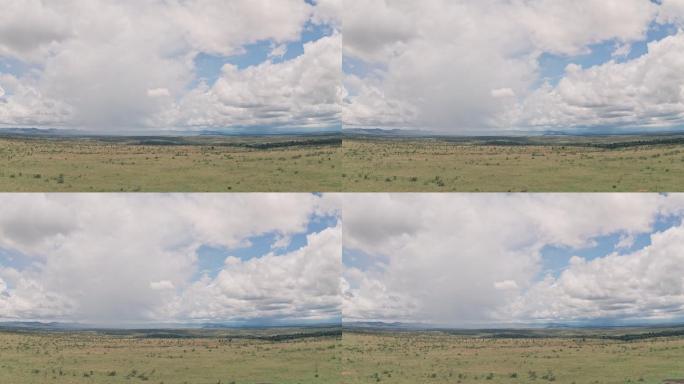 肯尼亚莱基皮亚的非洲稀树草原和平原景观