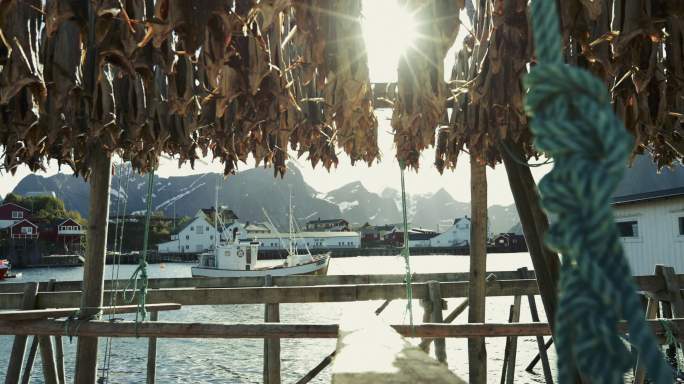 挪威罗弗顿群岛码头的鱼架