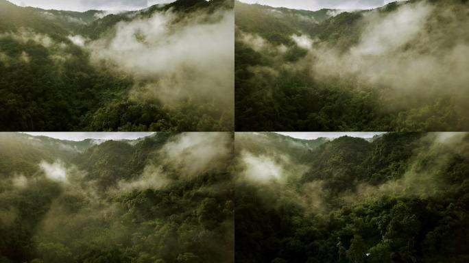 郁郁葱葱的雨林山鸟瞰图