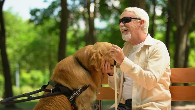 上了年纪的盲人抚摸导盲犬