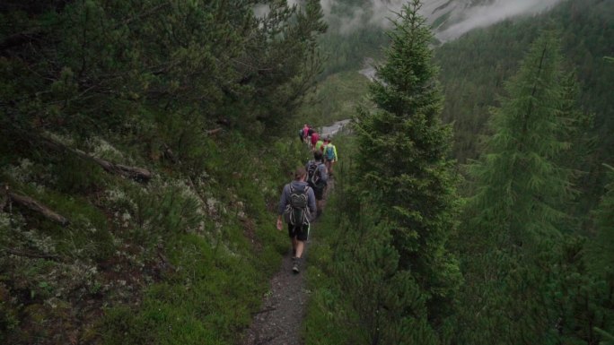 一队徒步旅行者在山中的树林小径上行走