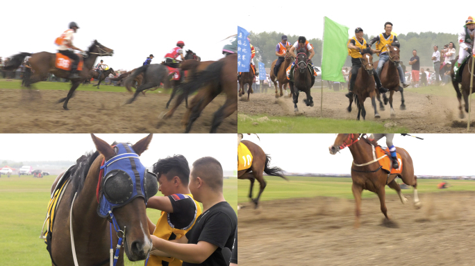 4K-草原赛马
