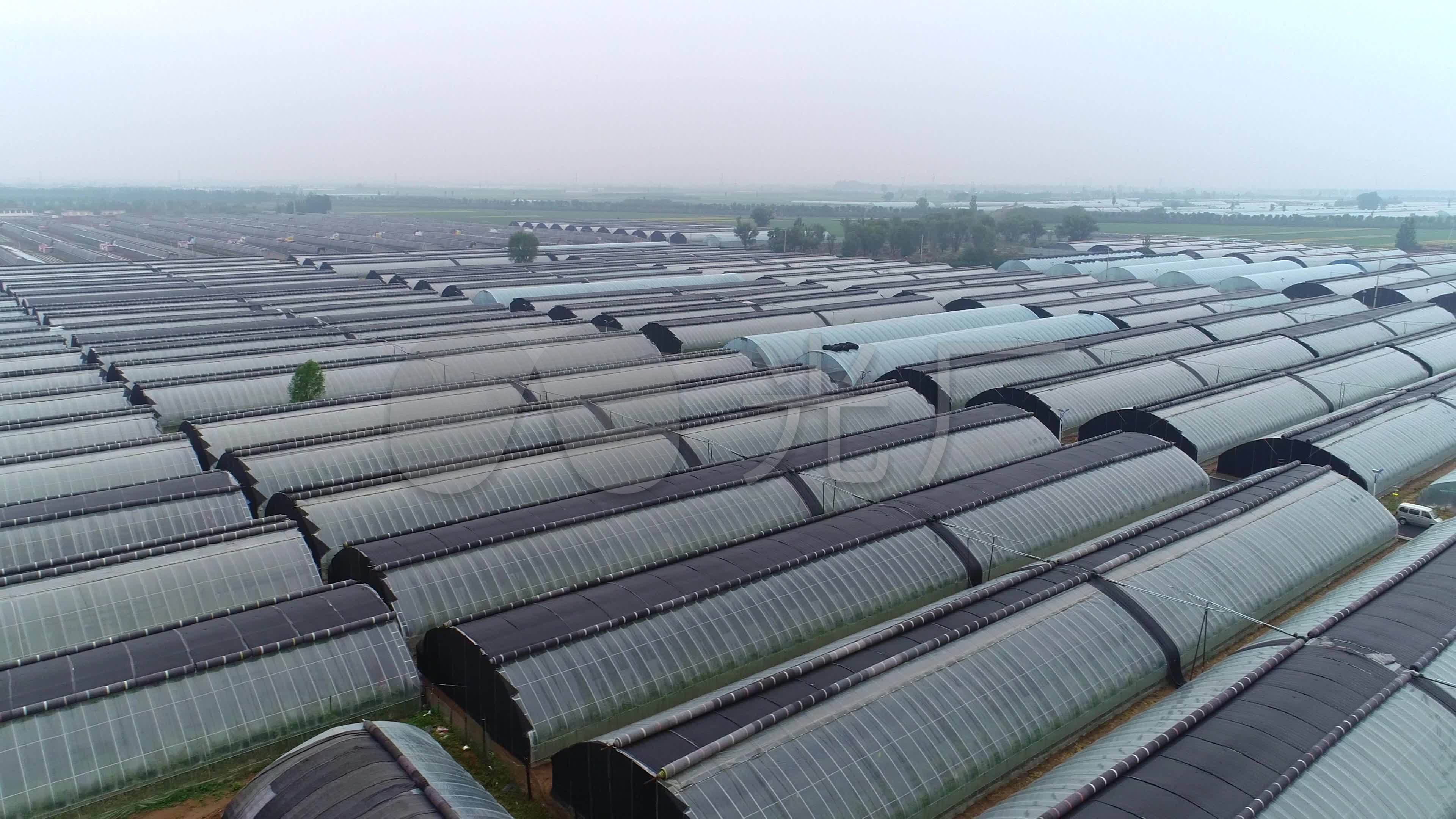 科技苑农业种植视频(科技农业种植官方网站)