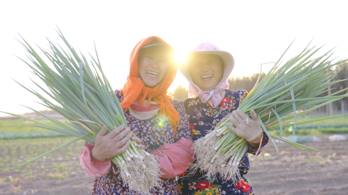 4K夕阳下农民在田地里劳动