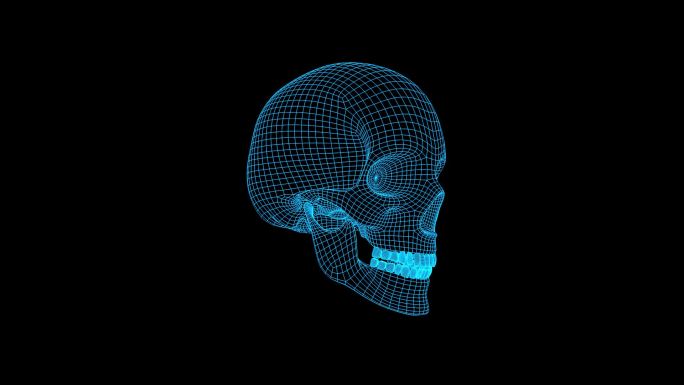蓝色线框全息科技头骨动画素材带通道