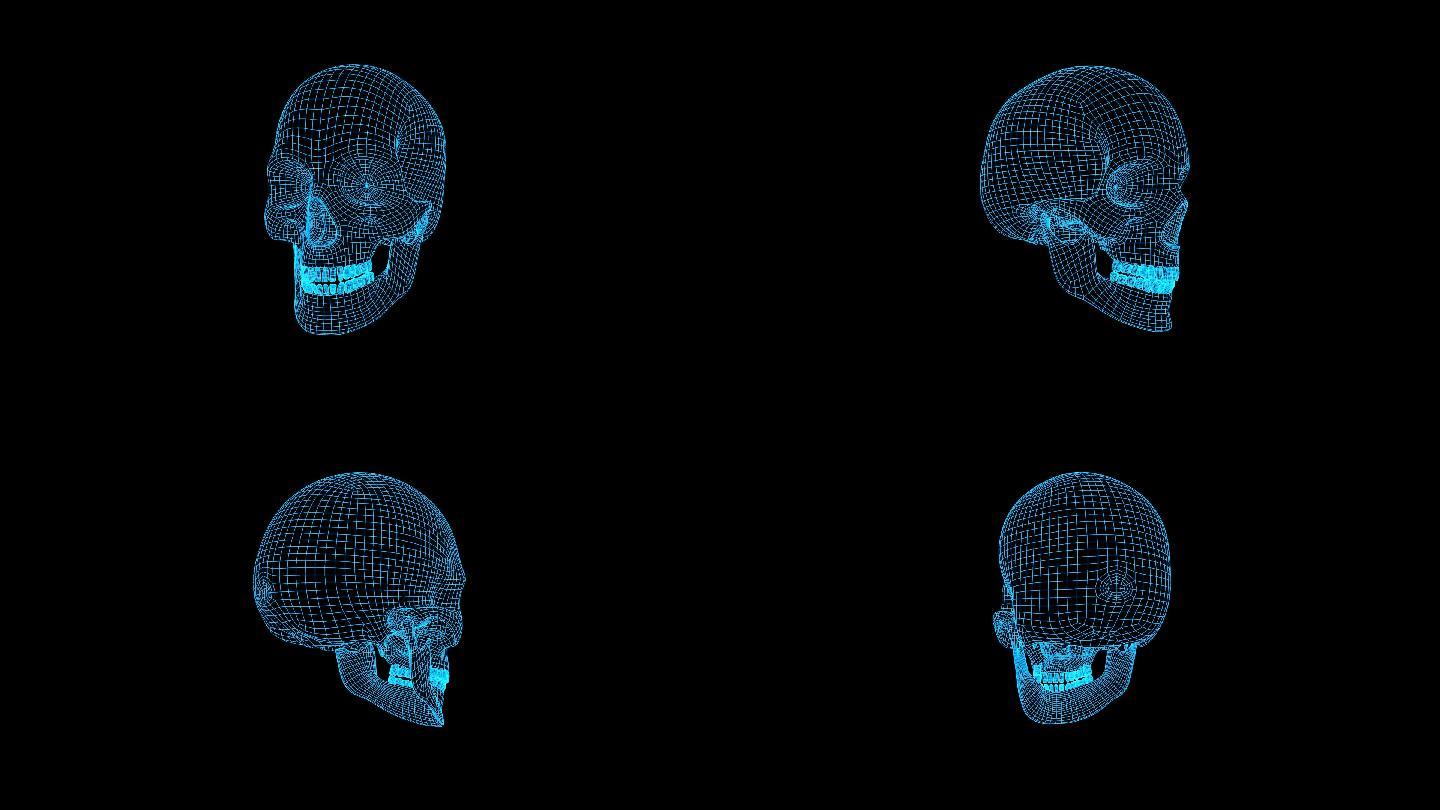 蓝色线框全息科技头骨动画素材带通道