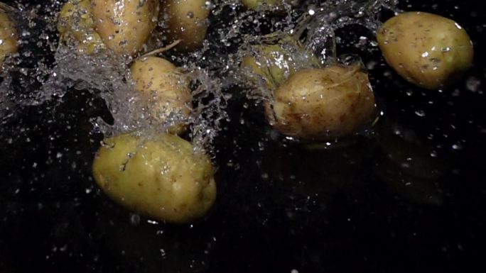 水洗土豆马铃薯