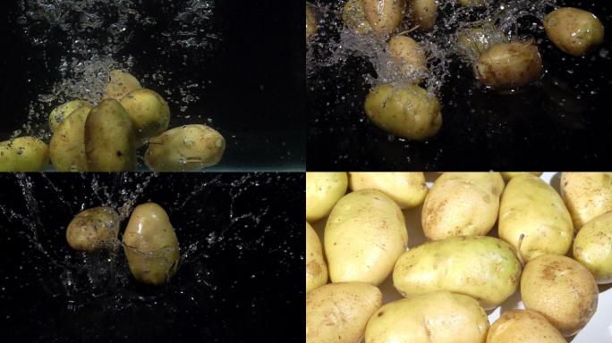 水洗土豆马铃薯