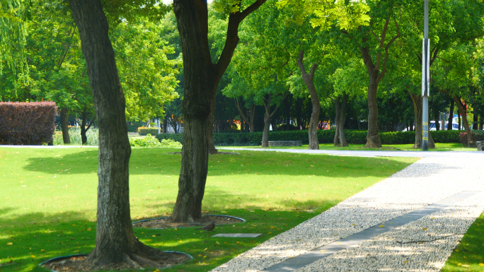 4K原创)公园绿地林荫道草坪