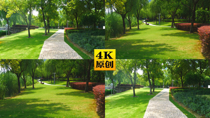 4K原创)公园绿地林荫道草坪