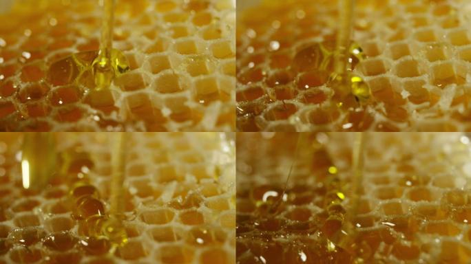 蜂蜜滴在蜂巢上