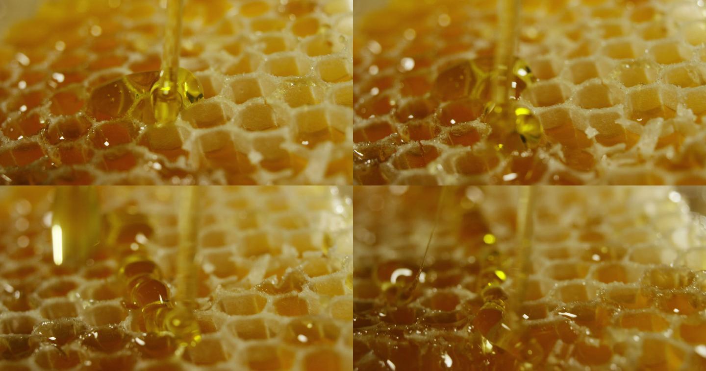 蜂蜜滴在蜂巢上