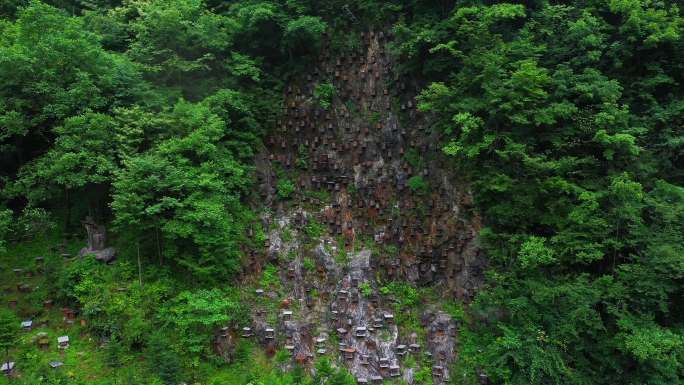 神农架官门山蜜蜂园