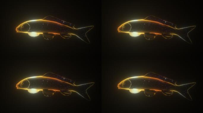发光金鱼金色发光鱼-带透明通道循环播放