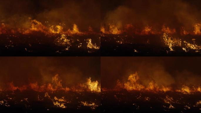 森林燃烧的烟雾野火烧不尽山火野外消防安全