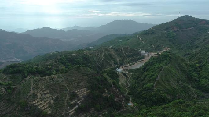 乌岽单丛凤凰山茶茶山山水蓝天