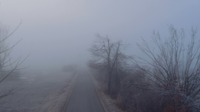 在雾蒙蒙的冬天，穿过阴暗的田野的乡村公路