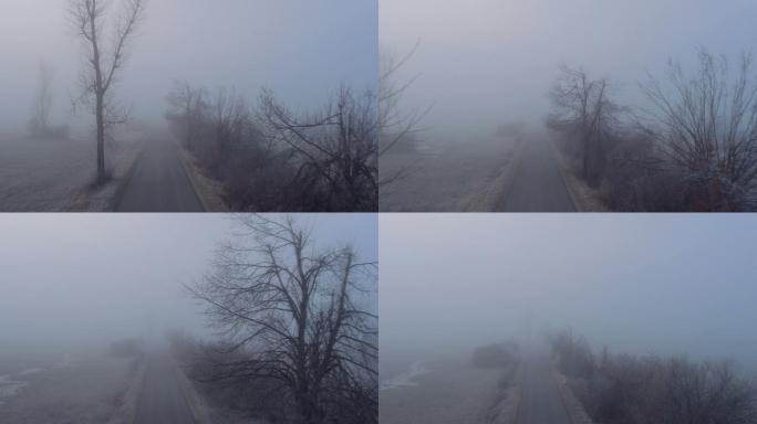 在雾蒙蒙的冬天，穿过阴暗的田野的乡村公路