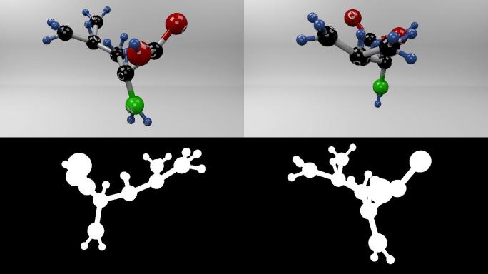 亮氨酸分子。