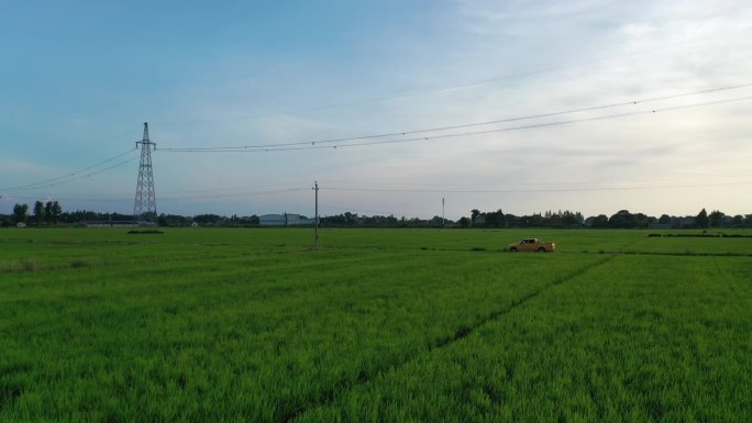 田间小路