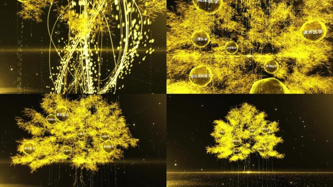 金色粒子水滴信息展示