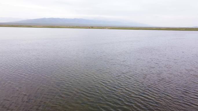 青海省青海湖自然生态系统4K航拍