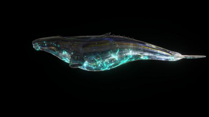 原创透明商用4k星空发光鲸鱼动画