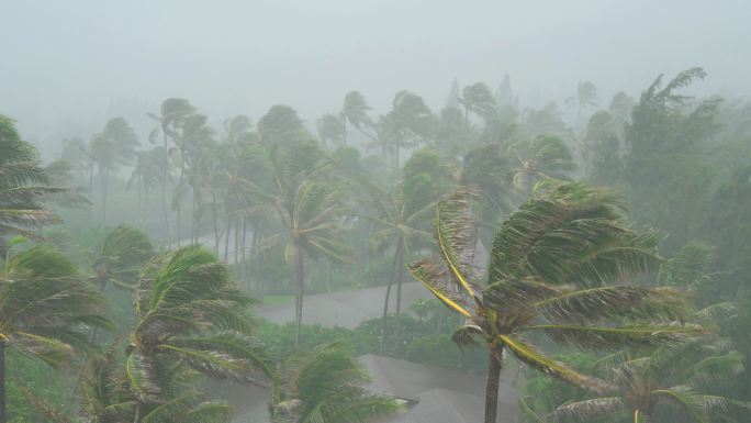 暴雨和大风袭击了夏威夷