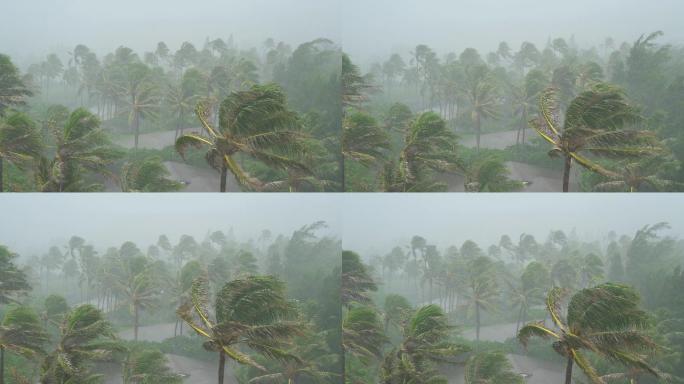 暴雨和大风袭击了夏威夷