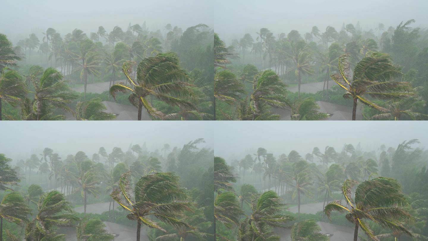 暴雨和大风袭击了夏威夷