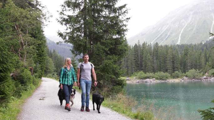一对成年夫妇带着狗在湖边散步