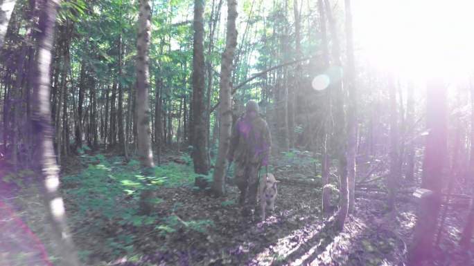 猎人带着狗穿过森林4k